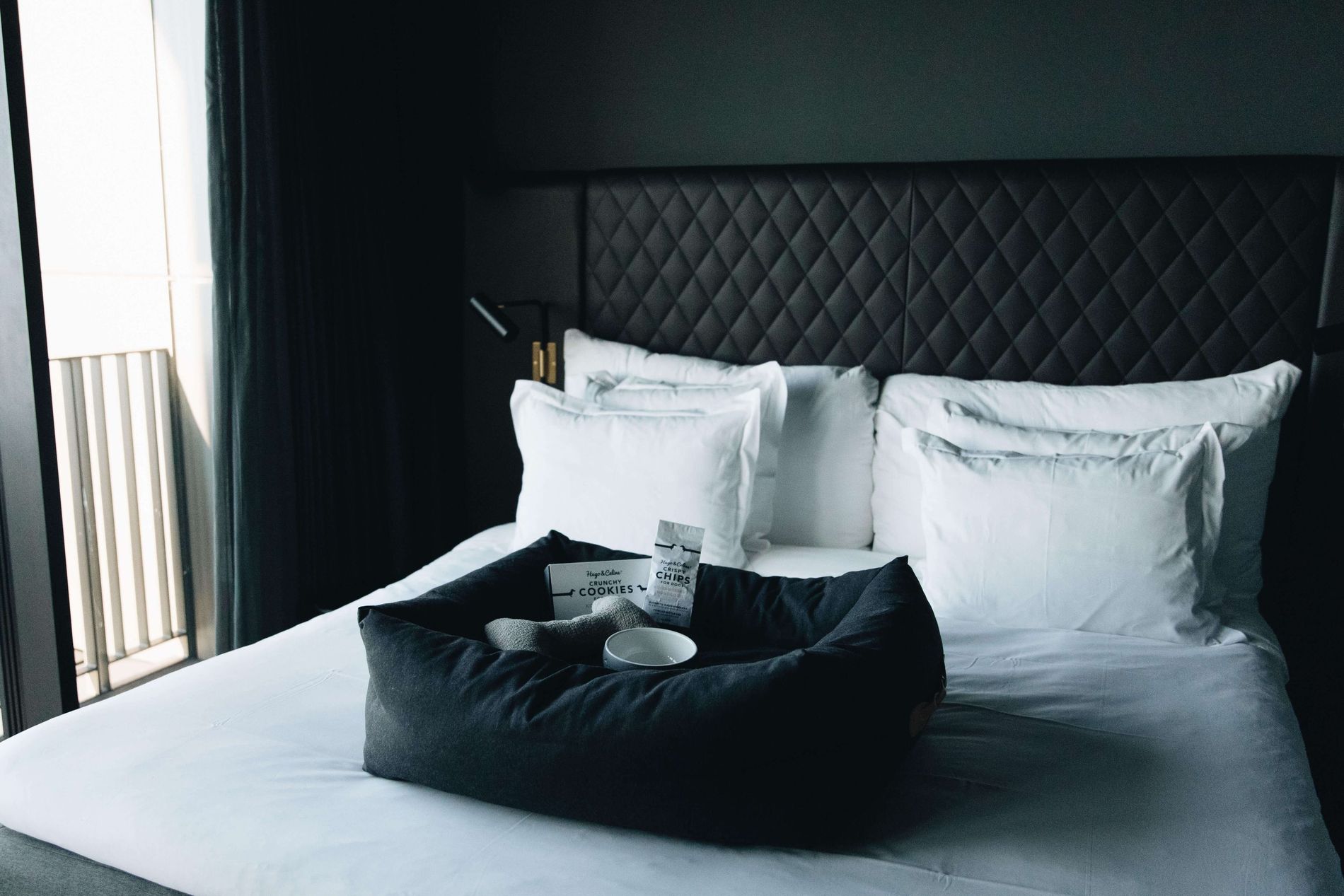 A doggy bed on a guest bed as part of At Six hotel's pet services